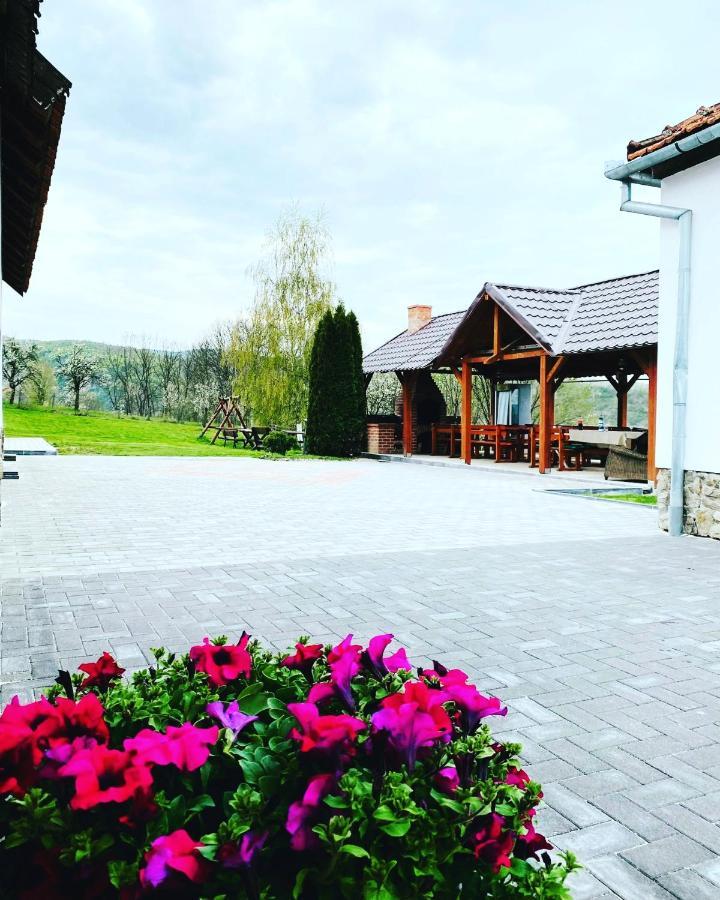 Pensiunea Turistica Retreat Belvedere Vadu Crisului Dış mekan fotoğraf